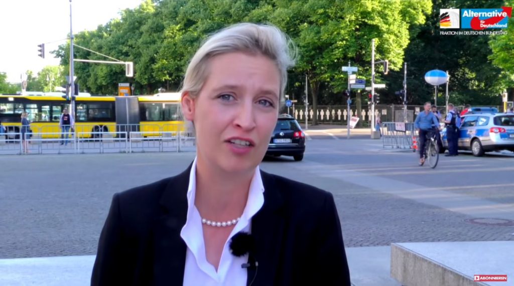 Alice Weidel Screenshot Youtube