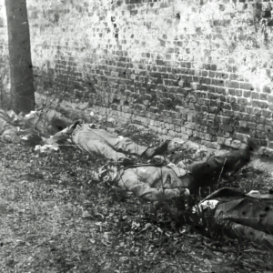 Brudermorde und Kriegstreiberei: Die historische Blutschuld der Sozialdemokraten