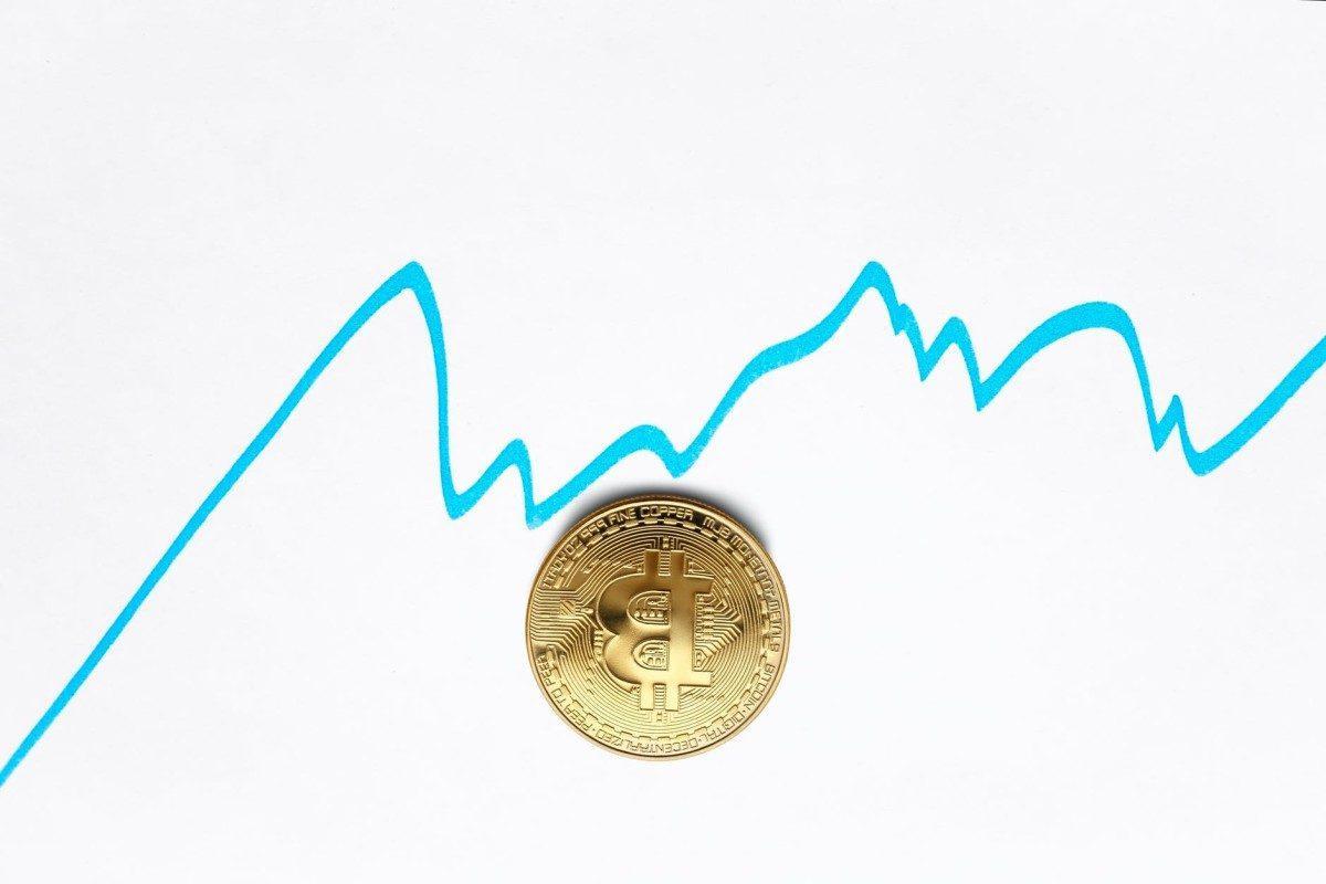bitcoin value growth chart on white background