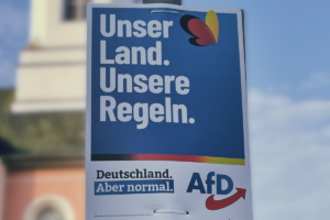 Die Großoffensive gegen die AfD ist gescheitert