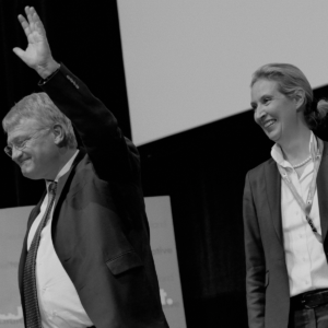 Weidel meuthert „No Dexit“