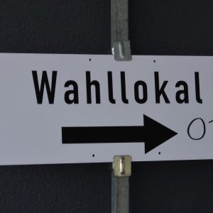 Neuwahlen: Meinungsforscher erklärt, wem wir am besten unsere Stimme geben