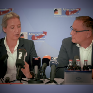 Sofortprogramm einer AfD-geführten Bundesregierung