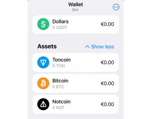 So richtet man eine Wallet bei Telegram für anonyme Zahlungen ein