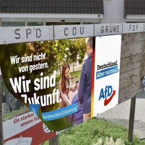 Blaues Wunder statt Grüner Mist