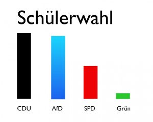 Schüler: Es grünt nicht grün in Falkensee