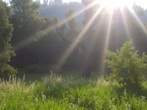 Wahrheit essen Angst auf