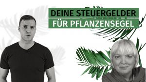 Kulturstiftung für Klimaabzocke mißbraucht