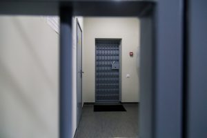 USA beschuldigen den Politikwissenschaftler Simes und seine Frau, gegen amerikanische Sanktionen verstoßen zu haben