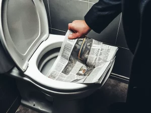 Der Griff des WELT-Redakteurs ins Klo – 974 Kommentare