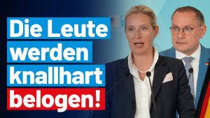AfD: Die Leute werden knallhart belogen
