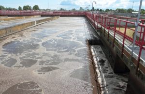 Kinderlähmung: Woher stammen die Polioviren im Abwasser? Droht Gefahr für unsere Kinder?