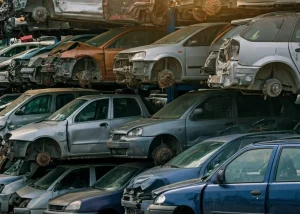 Gefährliches Urteil des EuGH droht unmittelbar