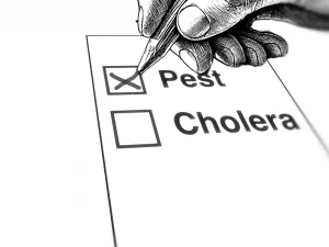 „Großartig“: Es besteht die Wahl zwischen Pest und Cholera