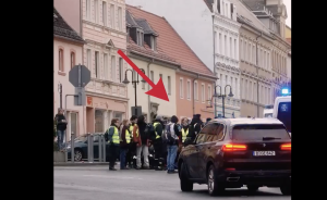 Alice Weidel von Antifa attackiert und zur Kanzlerkandidatin gekürt