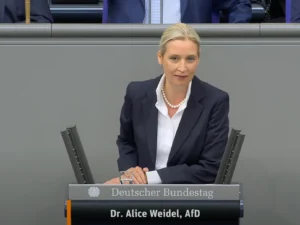Weidel zerlegt von der Leyen: EU-Zoll-Deal mit Trump ist Totalausfall!