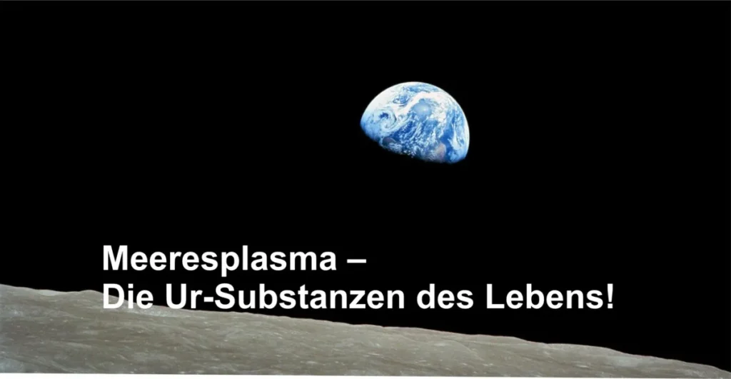 Meeresplasma – Die Ur-Substanzen des Lebens!