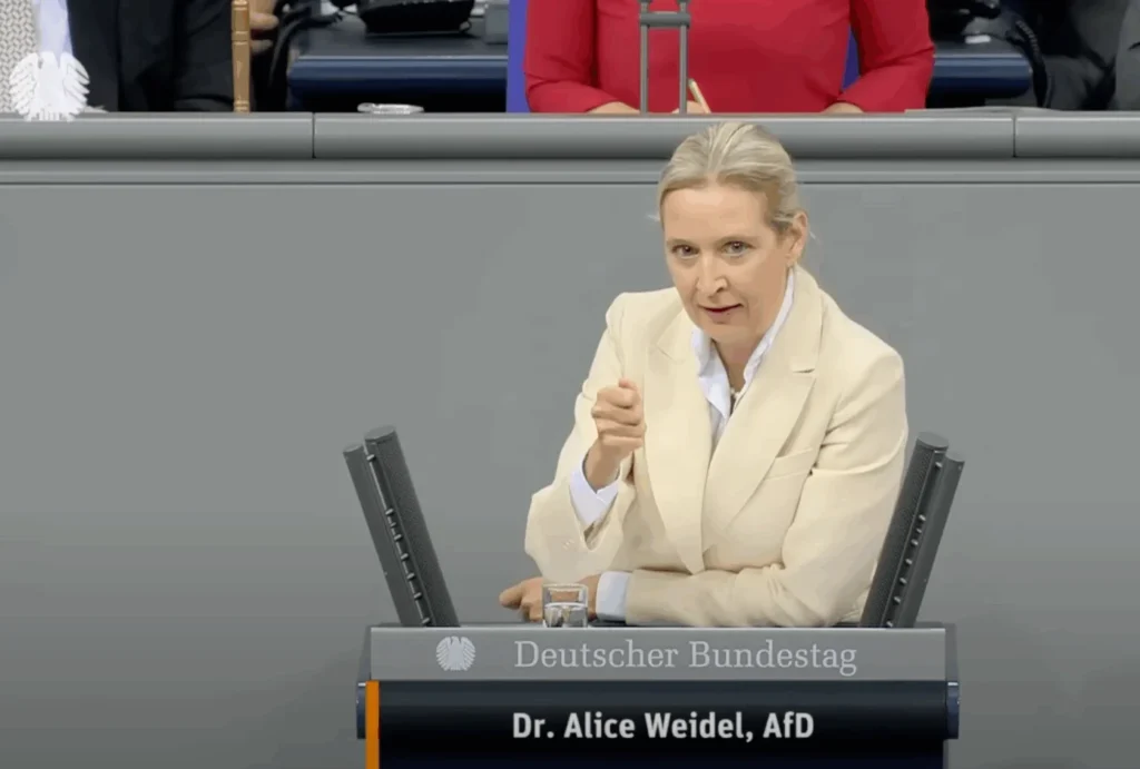 Alice Weidel zerlegt Merz in Einzelteile