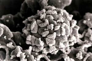 HPV-Impfung: Milliardenumsätze, große Versprechen – und bis heute kein Beweis für Schutzwirkung