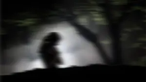 Skandal in Wien: „Frauen müssen folgen“ – afghanischer Vergewaltiger kommt mit lächerlicher Geldstrafe davon!